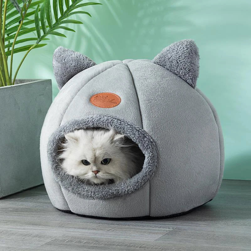 Caminha dos Sonhos: o Refúgio de Amor para o Seu Gato