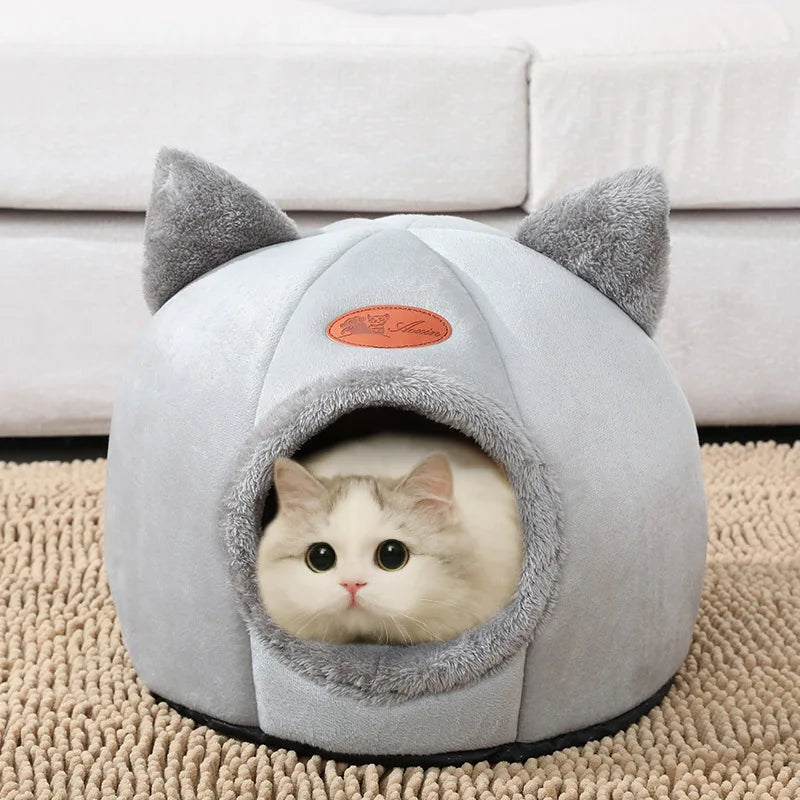 Caminha dos Sonhos: o Refúgio de Amor para o Seu Gato