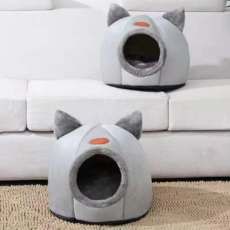 Caminha dos Sonhos: o Refúgio de Amor para o Seu Gato