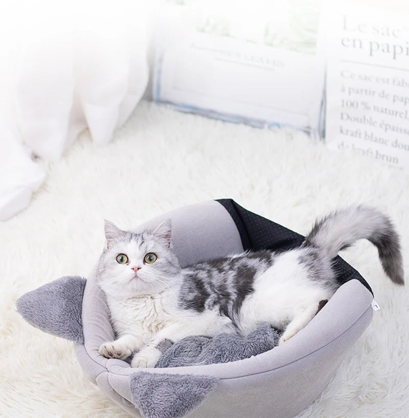 Caminha dos Sonhos: o Refúgio de Amor para o Seu Gato