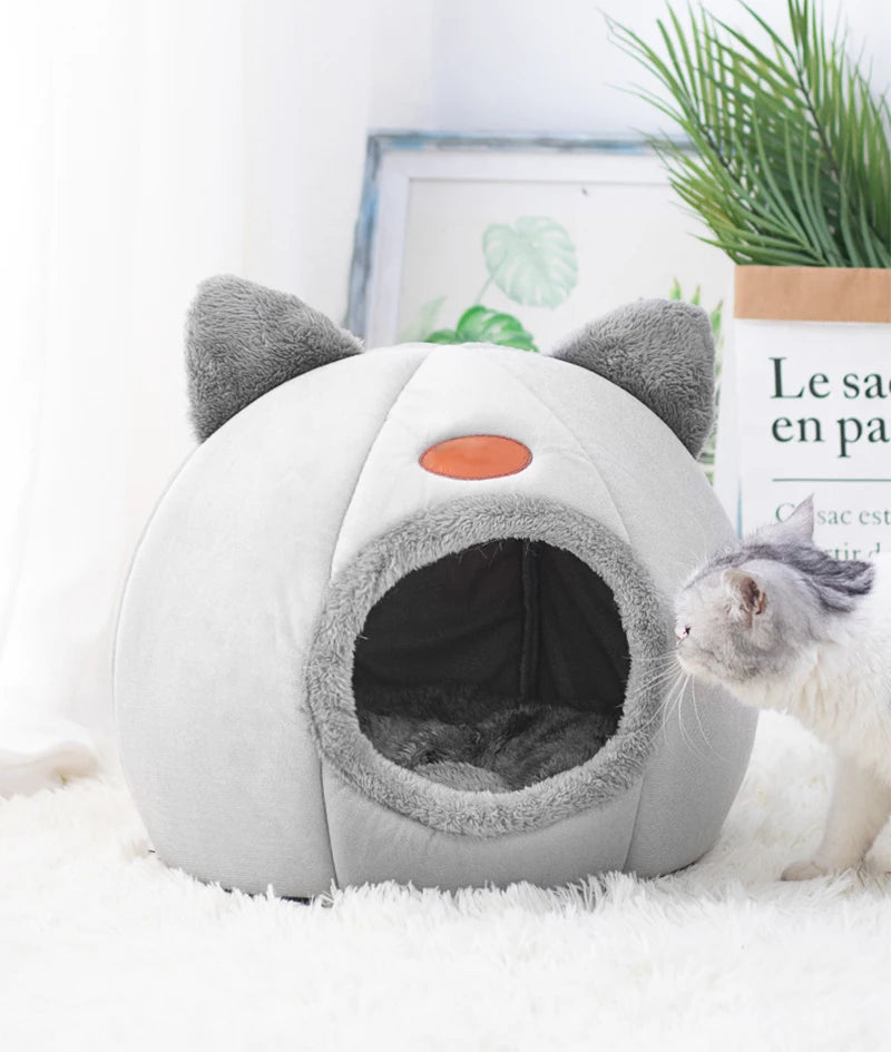 Caminha dos Sonhos: o Refúgio de Amor para o Seu Gato