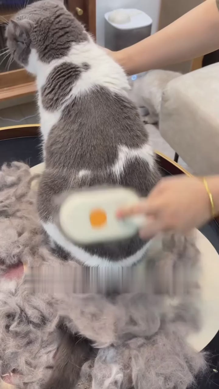Escova A Vapor Para Gatos Cães 3 Em 1 Premium + Ebook