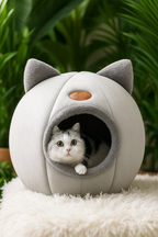 Caminha dos Sonhos: o Refúgio de Amor para o Seu Gato