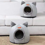 Caminha dos Sonhos: o Refúgio de Amor para o Seu Gato