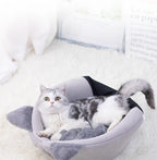 Caminha dos Sonhos: o Refúgio de Amor para o Seu Gato